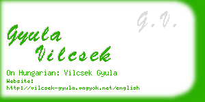 gyula vilcsek business card